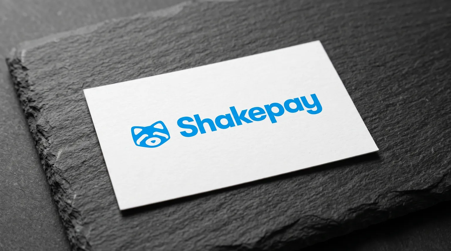 The Shakepay logo on a matte white card resting on a slab of dark grey slate in soft side light.
